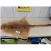 Image 1 : Tanned Kangaroo Hide 62" Tip to Tip