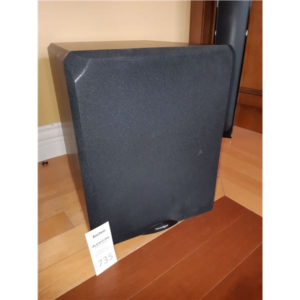 Paradigm Woofer Cat C