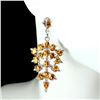 Image 1 : Natural Citrine Earrings