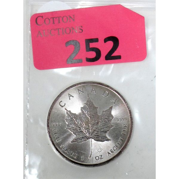 1 Oz .9999 Silver 2019 Canada Maple Leaf Coin 