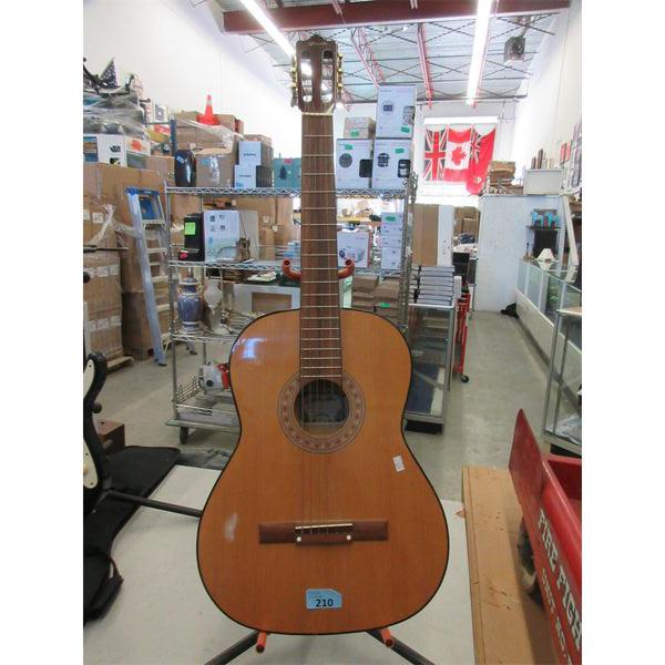 Ritmuller Acoustic Guitar  - Stand not included