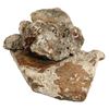 Image 1 : Clump of two(?) silver cobs in debris attached to a section of earthenware, as found.