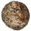 Image 2 : Dutch ducatoon "biscuit" (completely cocooned in thick oxidation with shells).