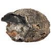 Image 2 : Clump of three or more Dutch ducatoon fragments in an encrusted "biscuit" with glass and other debri