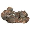 Image 1 : Large clump of over a dozen Dutch East India Co. (Zeeland) copper duits and pieces of many others in