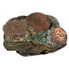 Image 1 : Dense clump of at least two dozen Dutch East India Co. (Zeeland) copper duits in matrix, as found.