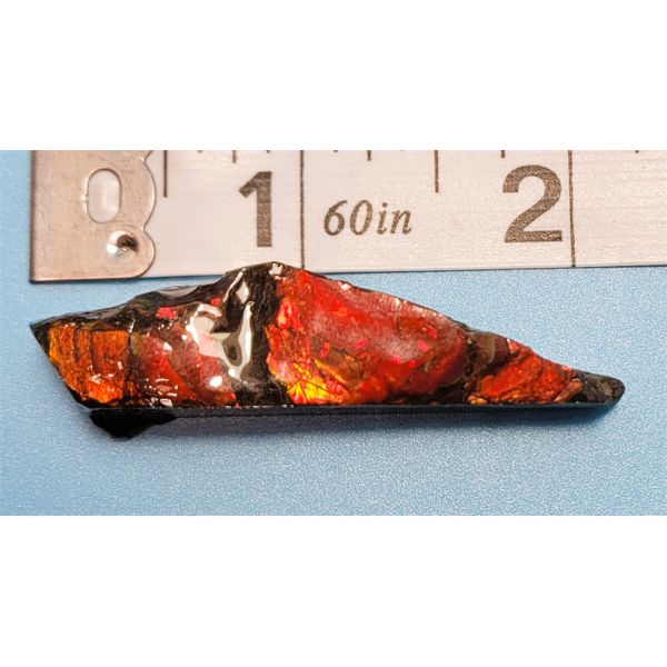 RED FIRE NATURAL AMMOLITE SPECIMEN