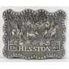 Image 1 : 1987 HESSTON NATIONAL FINAL BELT BUCKLE