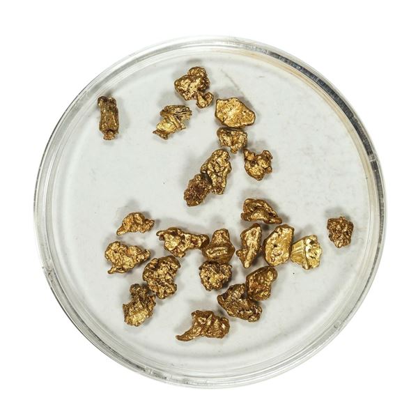 Gold Nuggets 3.93 Grams Total Weight