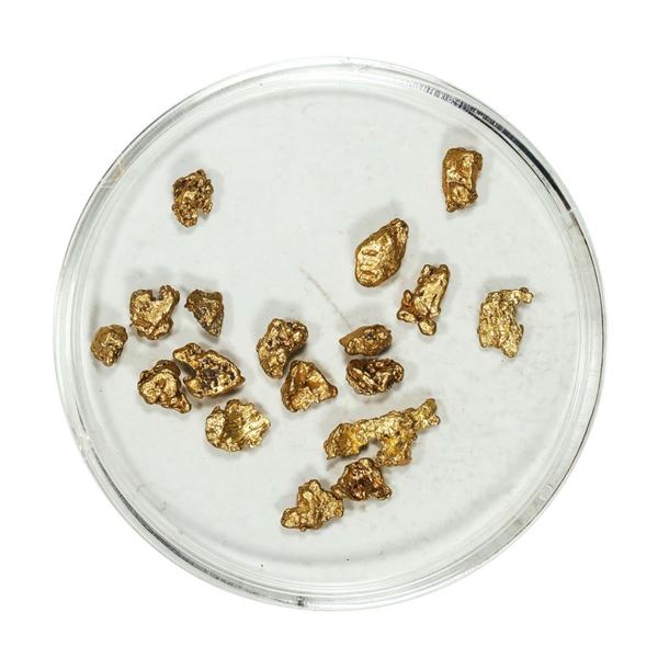 Gold Nuggets 2.91 Grams Total Weight