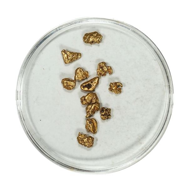 Gold Nuggets 1.63 Grams Total Weight