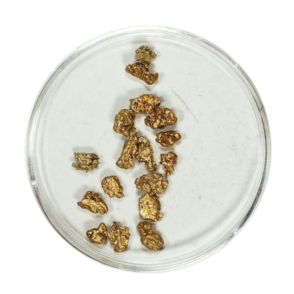 Gold Nuggets 3.00 Grams Total Weight