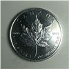 Image 2 : 2010 Canadian Maple BU 1oz