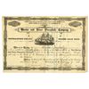 Image 1 : Marine and River Phosphate Co., 1883 I/U Stock Certificate.