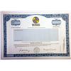 Image 1 : Network Solutions, Inc 1999 Specimen Stock Cert Odd Shrs XF blue ABN