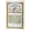 Image 1 : North Jersey Street Railway Co., 1896 Specimen Bond.