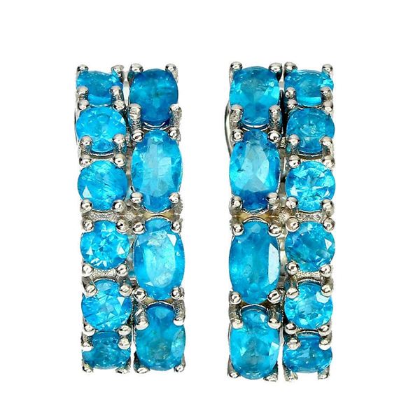 Natural Untreated Brazil Paraiba  Apatite Earrings