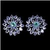 Image 1 : Natural Blue Apatite & Tanzanite Earrings