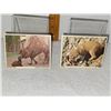 Image 2 : VINTAGE DOUBLE SIDED ANIMAL CARDS