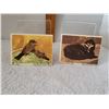 Image 2 : VINTAGE DOUBLE SIDED ANIMAL CARDS