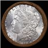 Image 2 : ***Auction Highlight*** 1879 & CC Uncirculated Morgan Dollar Shotgun Roll (fc)