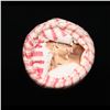 Image 2 : Shotgun Lincoln 1c roll, 2000-d 50 pcs DeLaRue Wrapper.