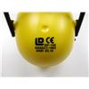 Image 3 : EAR & EYE RANGE PROTECTION
