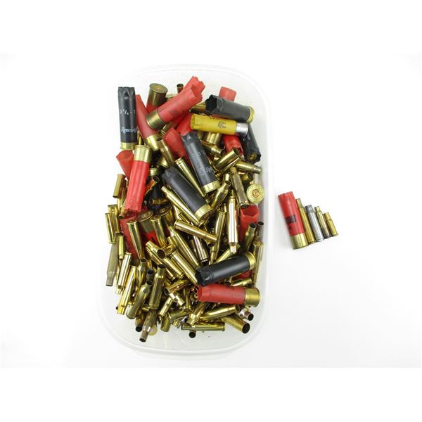 NON-PRIMED ASSORTED BRASS CASE LOT