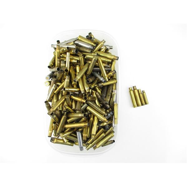 NON-PRIMED ASSORTED BRASS CASE LOT