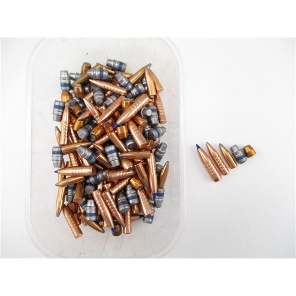 ASSORTED BULLET LOT