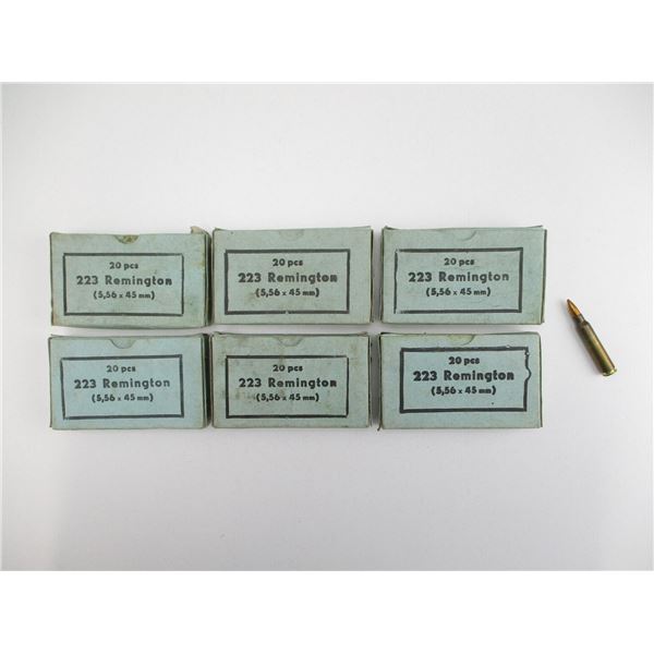 .223 REM AMMO LOT