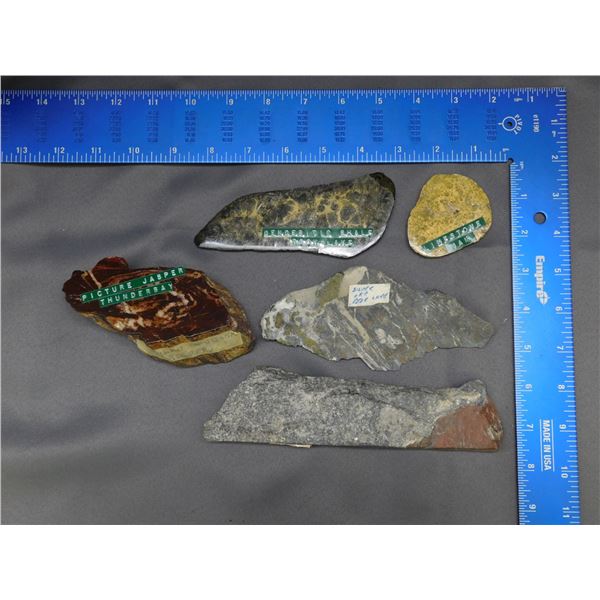 Lot of 5 Mineral / Rock Specimens Limestone, Jasper, Denderitic Shale ...