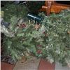 Image 3 : The Fireplace Restaurant - Christmas Trees, Garland, & Decorations