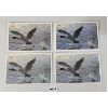 Image 3 : LOT OF 4 - RCM UNCIRCULATED SETS - 1988, 91, 94 & 96