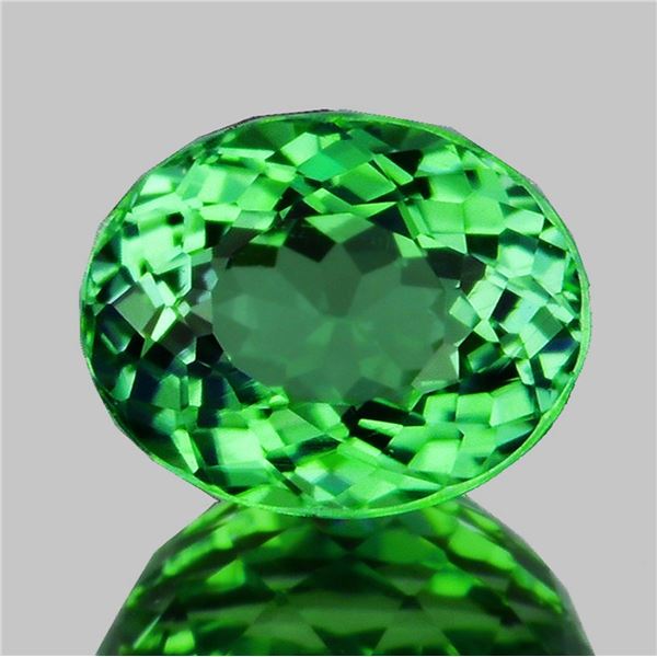 Natural Mozambique Green Tourmaline {Flawless-VVS}