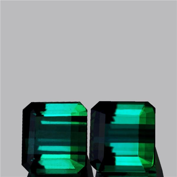 Natural Greenish Blue Tourmaline Pair {Flawless-VVS}