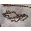 Image 4 : (4) Chains - Various Lengths