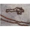 Image 4 : (4) Chains - Various Lengths