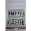 Image 1 : Pair 1972 Sask License Plate