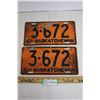 Image 1 : Pair 1942 Sask License Plate