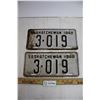 Image 1 : Pair 1948 Sask License Plate