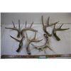 Image 1 : (7) Deer Sheds