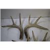 Image 2 : (7) Deer Sheds