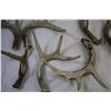 Image 3 : (7) Deer Sheds
