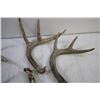 Image 4 : (7) Deer Sheds