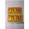 Image 1 : (2) 1967 Saskatchewan License Plates