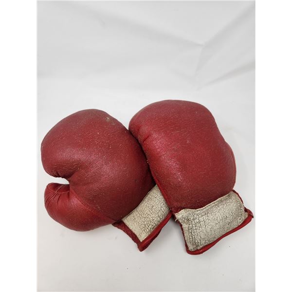 Vintage Boxing Gloves