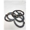 Image 1 : 7 Horseshoes