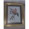 Image 5 : Framed Art Cat A