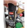 Image 8 : Spray paints C